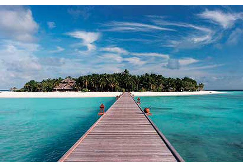Banyan Tree terminates in Sri Lanka