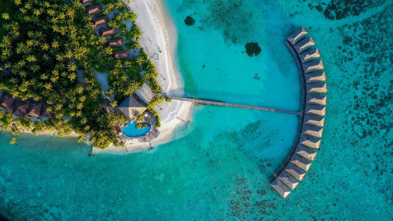 Rci Resorts Experience