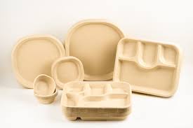 MahaKumbh 2025 eco friendly tableware
