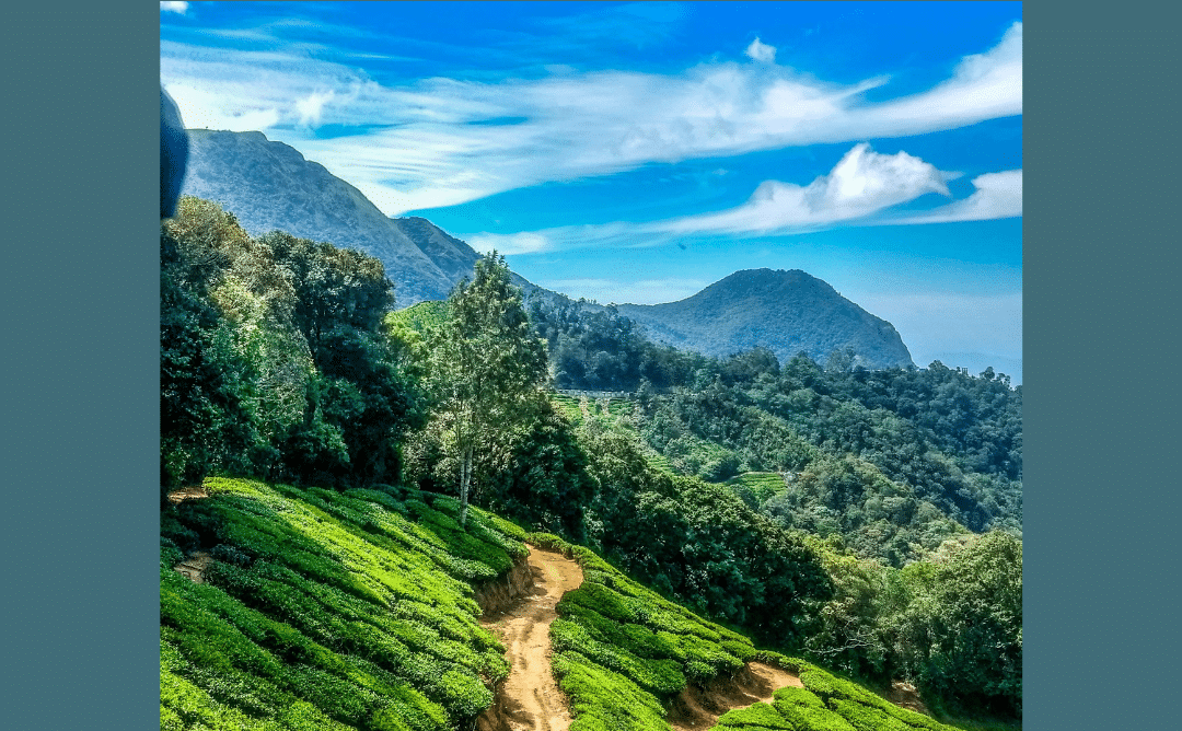 Kerala Tourism