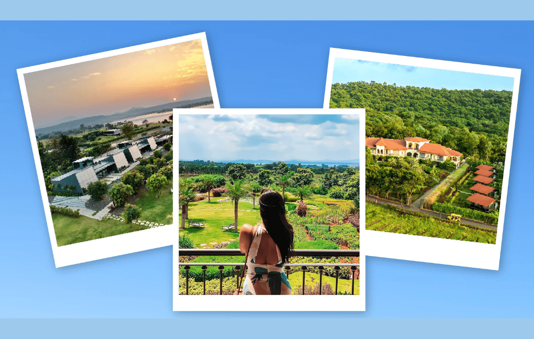 Samruddhi Mahamarg Makes Sula Vineyard the Perfect Quick Getaway