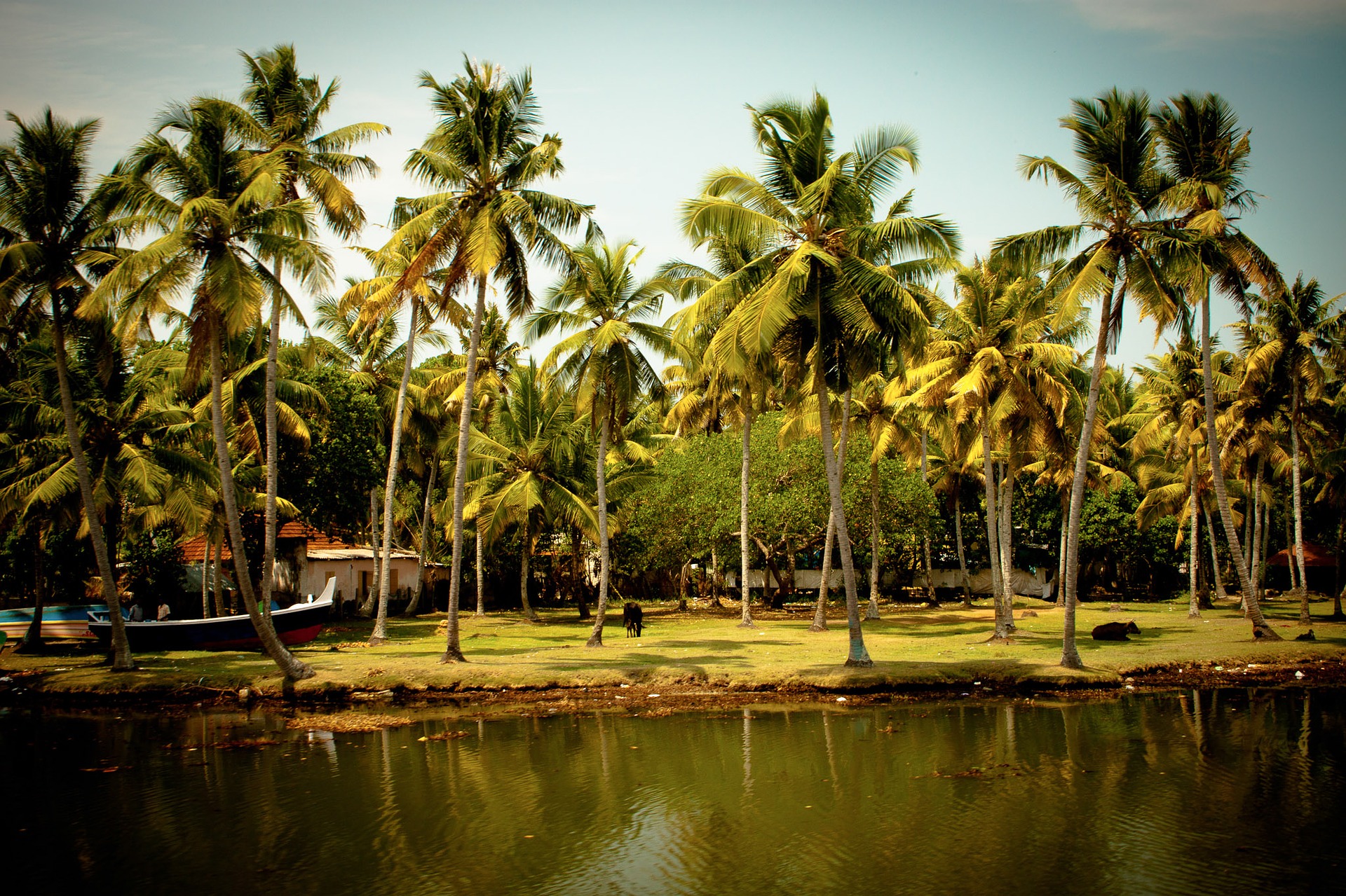 Kerala S Four Tourist Spots Finds Place In 10 Most Welcoming Kerala S Four Tourist Spots Finds Place In 10 Most Welcoming